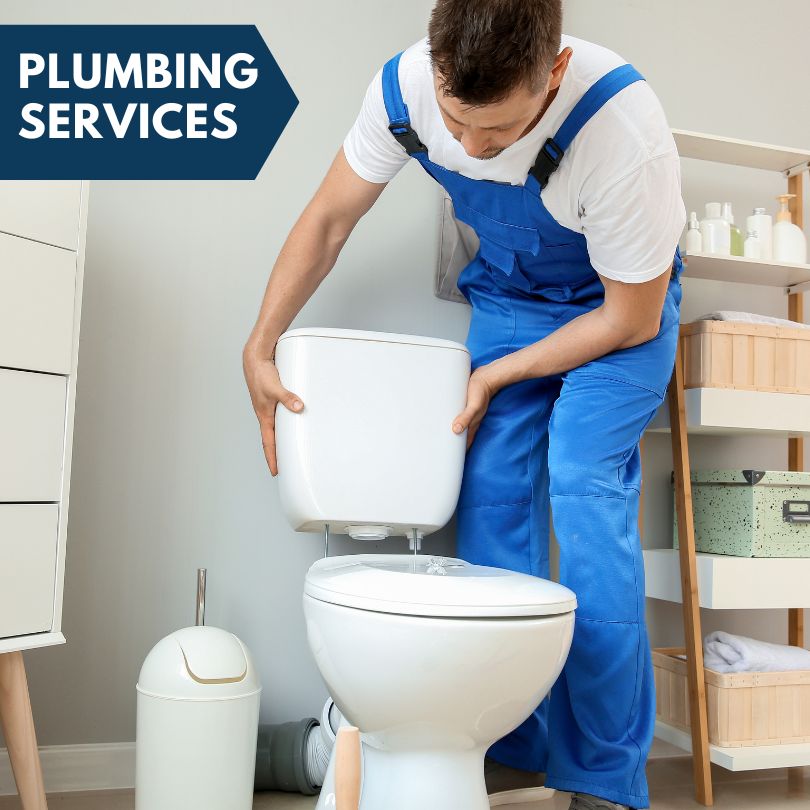 Plumbing Company in Nisula, MI